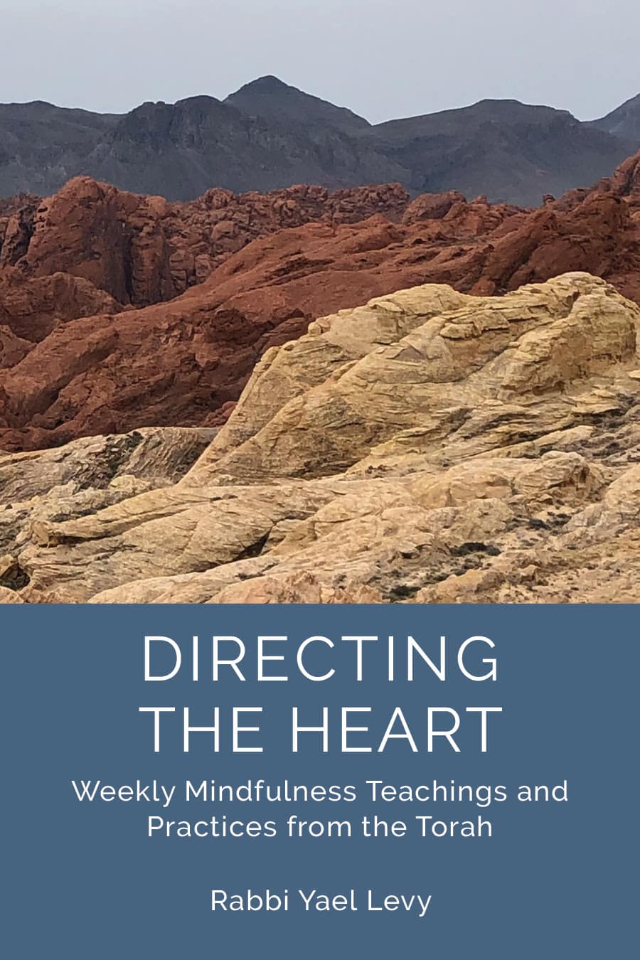 Directing the Heart book cover
