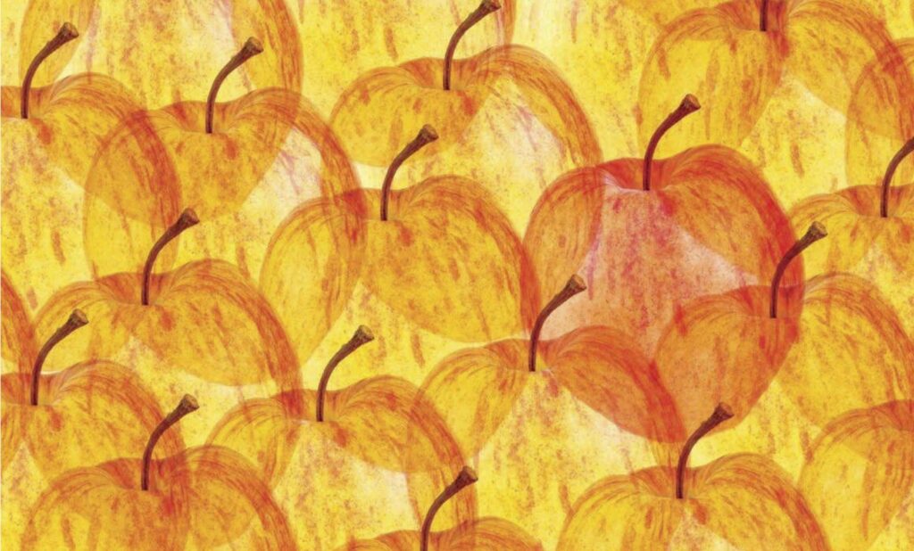 apples art from report cover